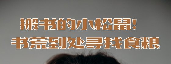 搬書的小松鼠！書荒到處尋找食糧