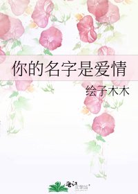 你的名字是爱情